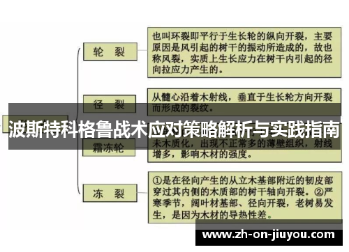 波斯特科格鲁战术应对策略解析与实践指南 波斯特科格鲁战术应对策略解析与实践指南