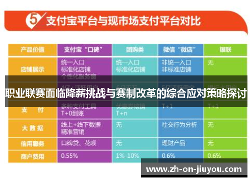 职业联赛面临降薪挑战与赛制改革的综合应对策略探讨