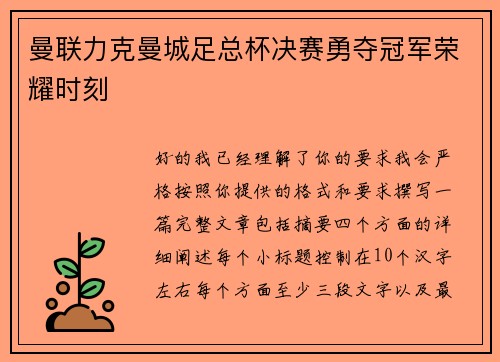 曼联力克曼城足总杯决赛勇夺冠军荣耀时刻